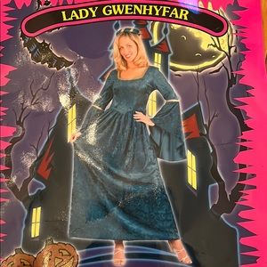 Lady Guinevere Ladies Medieval Costume